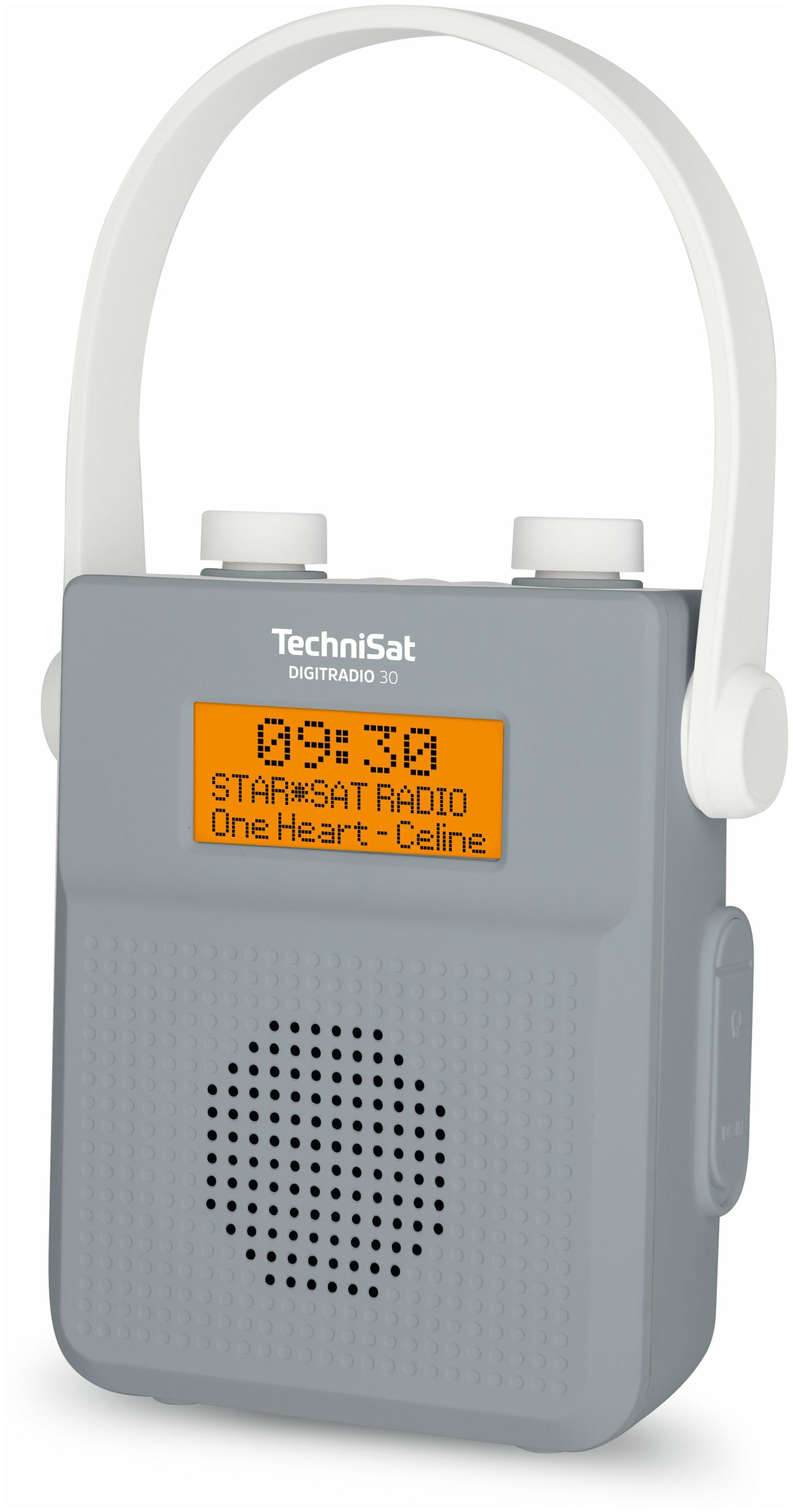 Digitradio (Grau) TechniSat IPX5 Radio 30 von Tragbar Technomarkt FM Bluetooth DAB+, expert