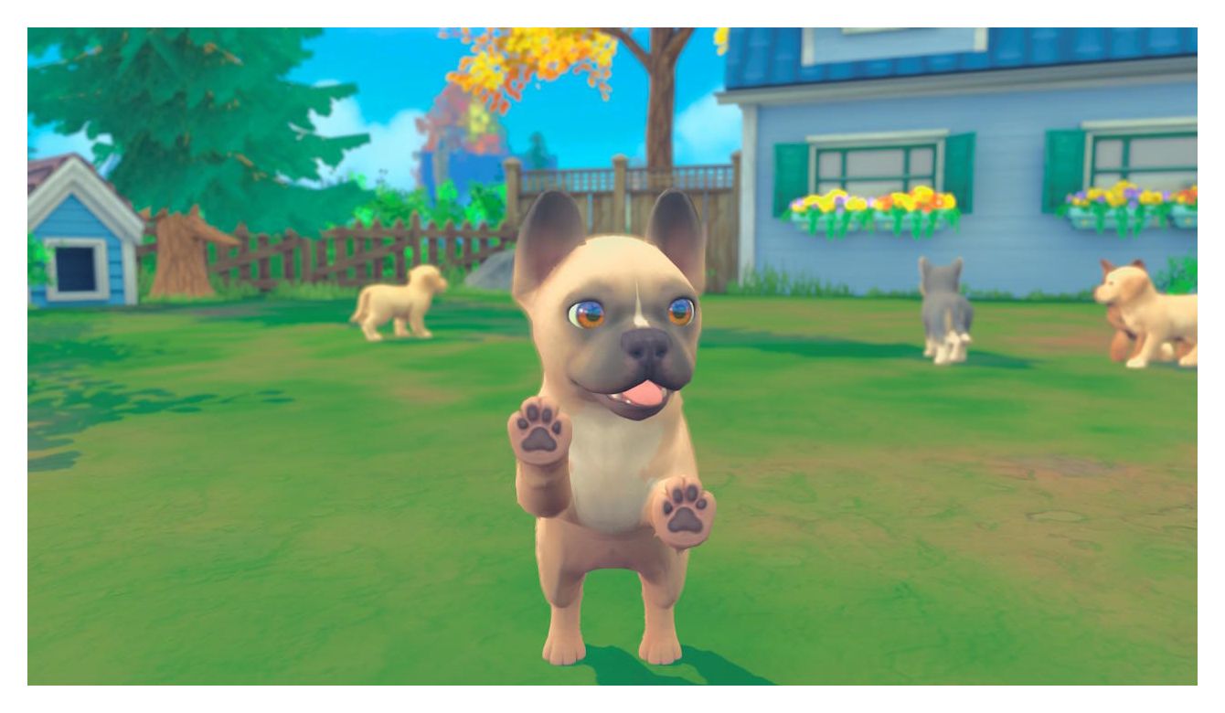 und Katzenbabys expert von Universe: Switch) Hunde- Technomarkt GAME My (Nintendo