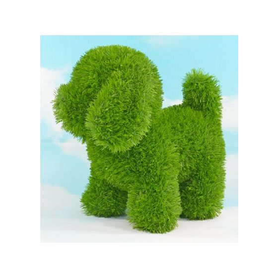 AniPlants 53248 f&uuml;r 44,99 Euro