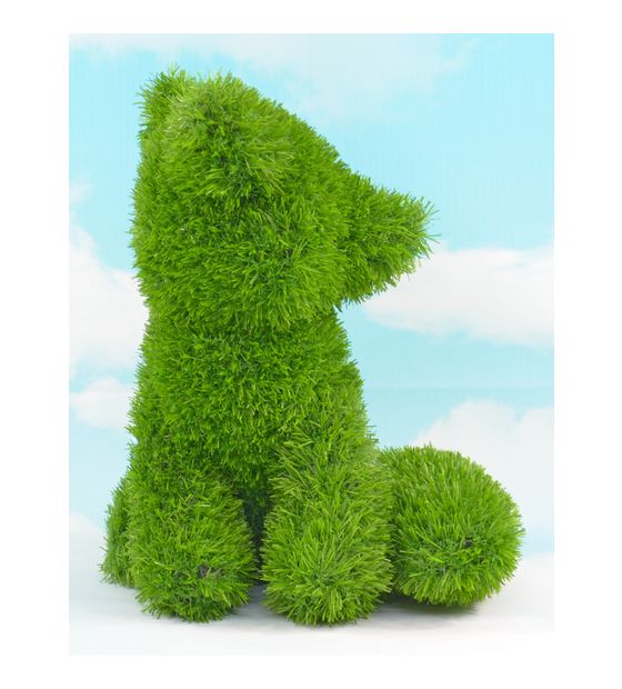 AniPlants 53252 f&uuml;r 31,99 Euro