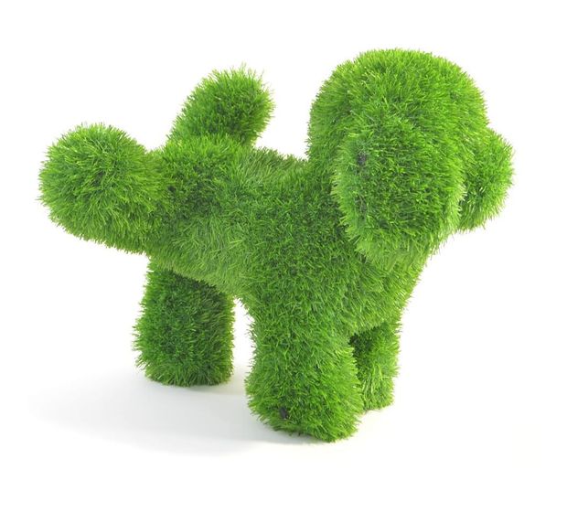 AniPlants 53276 f&uuml;r 39,99 Euro