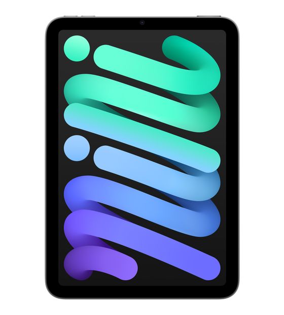 Apple iPad mini 128 GB Tablet 21,1 cm (8.3") iPadOS 12 MP  (Grau) f&uuml;r 549,00 Euro