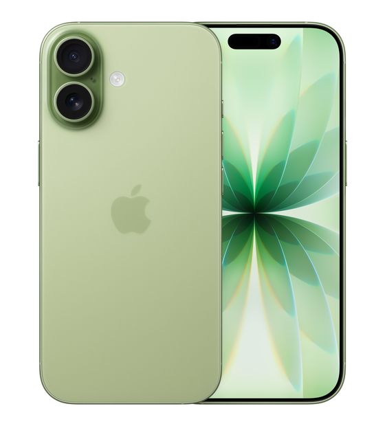 Apple iPhone 17 512 GB 5G Smartphone 16 cm (6.3 Zoll) IOS 48 MP Dual Kamera Dual Sim WiFi 7  (Salbei) f&uuml;r 1.199,00 Euro