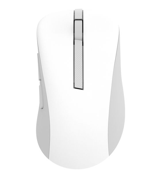 Asus MD102 1600 DPI Universal Maus Optisch  (Weiß) f&uuml;r 40,99 Euro