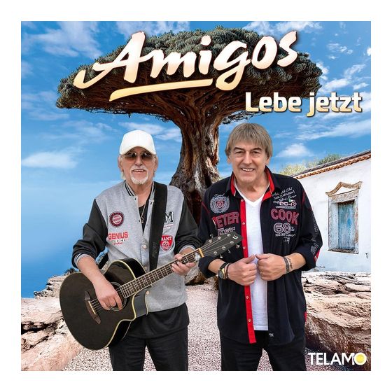 Die Amigos - Lebe jetzt f&uuml;r 18,99 Euro