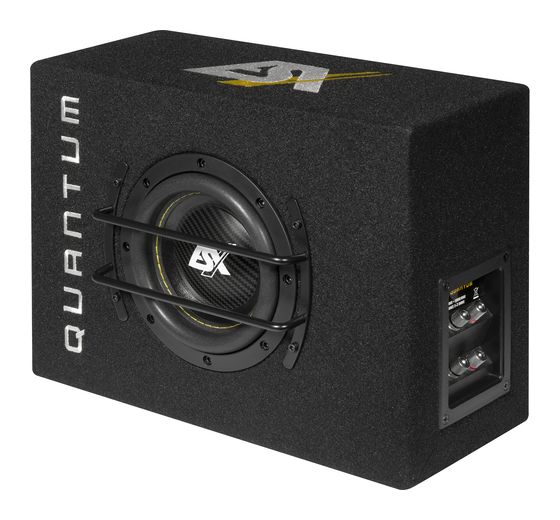 ESX QXB6 Einbaulautsprecher f&uuml;r 198,99 Euro