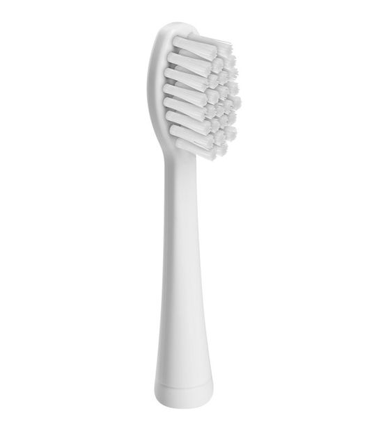 Eta Spare brush f&uuml;r 5,99 Euro