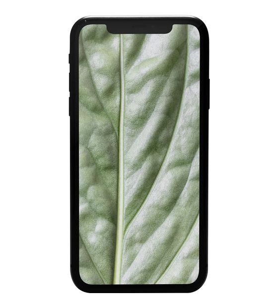 #GOECO Apple iPhone 11 refurbished 128 GB Smartphone 15,5 cm (6.1 Zoll) IOS 12 MP Dual Kamera  (Schwarz) f&uuml;r 279,00 Euro