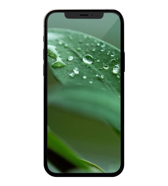 #GOECO Apple iPhone 12 Pro refurbished 256 GB 5G Smartphone 15,5 cm (6.1 Zoll) IOS 12 MP Dreifach Kamera Dual Sim WiFi 6  (Graphit) f&uuml;r 369,00 Euro