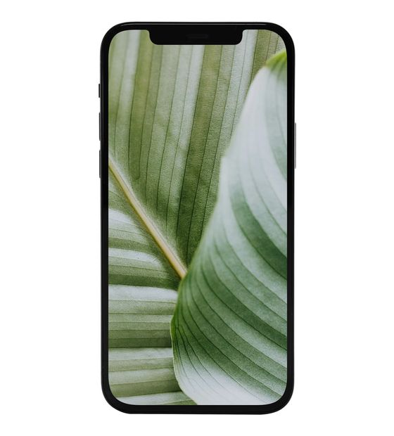 #GOECO Apple iPhone 12 refurbished 64 GB 5G Smartphone 15,5 cm (6.1 Zoll) IOS 12 MP Dual Kamera Dual Sim  (Schwarz) f&uuml;r 279,00 Euro