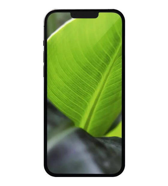 #GOECO Apple iPhone 13 Pro Max refurbished 128 GB 5G Smartphone 17 cm (6.7 Zoll) IOS 12 MP Dreifach Kamera Dual Sim WiFi 6  (Graphit) f&uuml;r 649,00 Euro
