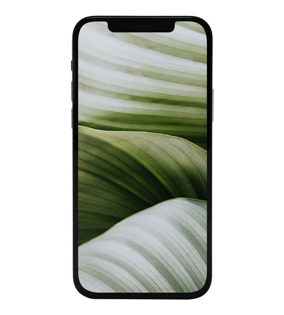 #GOECO iPhone 12 mini refurbished 128 GB 5G Smartphone 13,7 cm (5.4 Zoll) IOS 12 MP Dual Kamera Dual Sim  (Schwarz) f&uuml;r 249,00 Euro