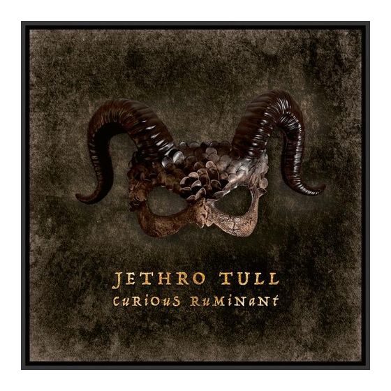 Jethro Tull - Curious Ruminant f&uuml;r 15,99 Euro