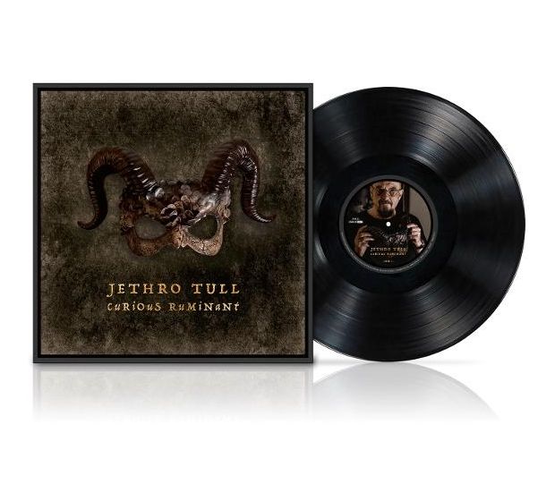 Jethro Tull - Curious Ruminant f&uuml;r 24,99 Euro