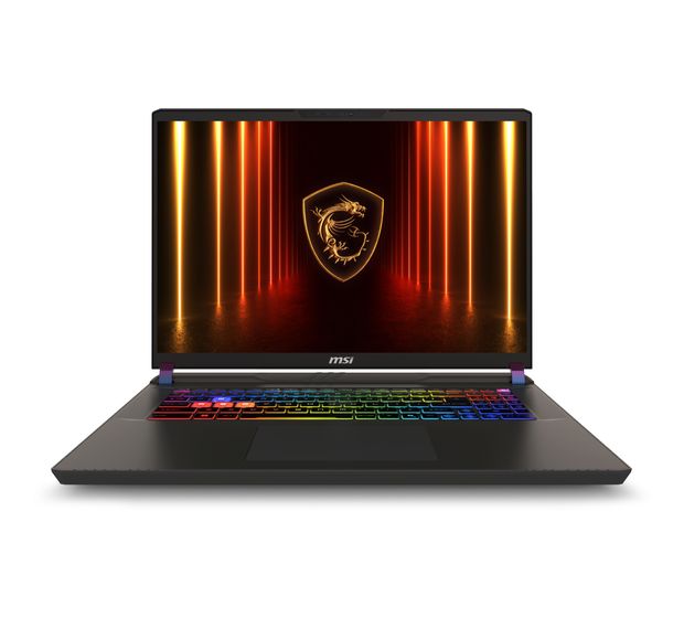 MSI Vector 17 HX AI A2XWJG-039 Quad HD Notebook 43,2 cm (17 Zoll) 2560 x 1600 Pixel 2 TB SSD Windows 11 Home Intel Core Ultra 9 max. 5,4 GHz  (Grau) f&uuml;r 4.599,00 Euro