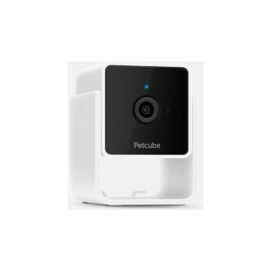 Petcube Cam f&uuml;r 43,49 Euro