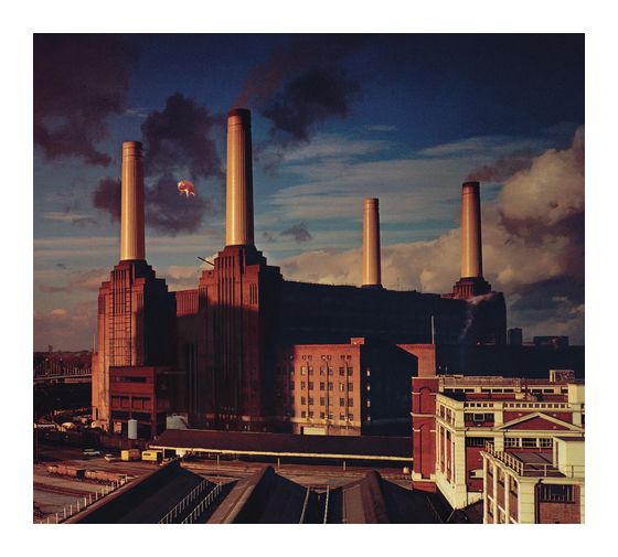Pink Floyd - Animals f&uuml;r 29,99 Euro