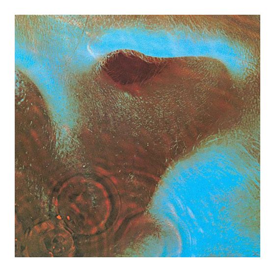 Pink Floyd - Meddle (2016 Edition) f&uuml;r 22,99 Euro