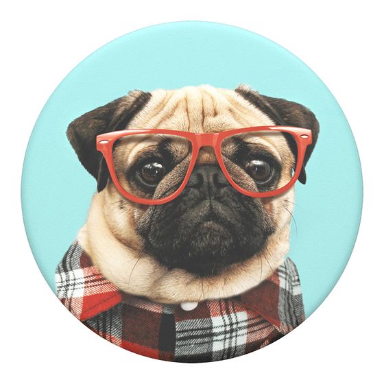 PopSockets PG Fleißiger Stu f&uuml;r 12,99 Euro
