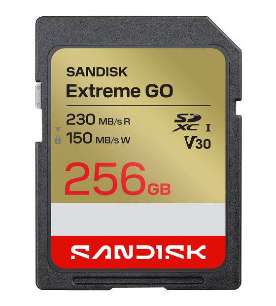 Sandisk Extreme Go SDXC Speicherkarte 256 GB Class 3 (U3) f&uuml;r 106,99 Euro