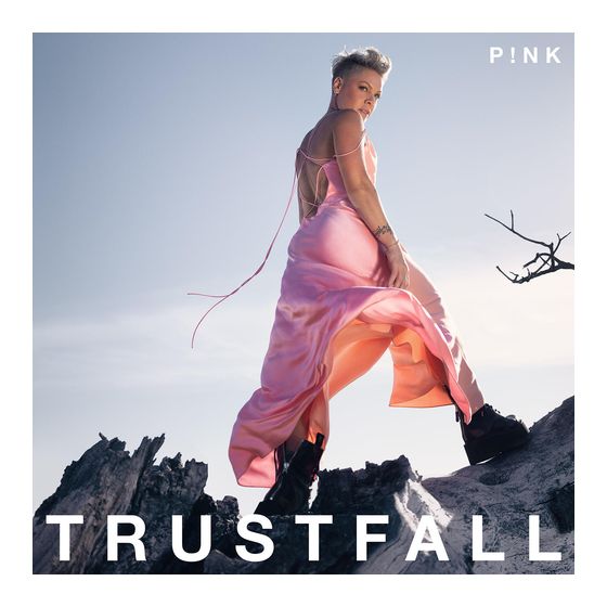 Trustfall f&uuml;r 11,99 Euro