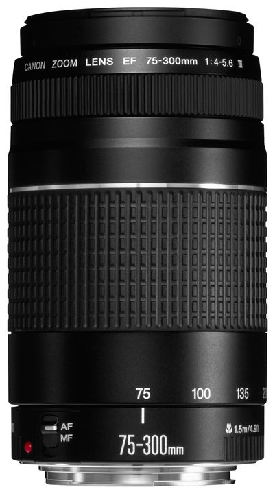 Canon EF 75-300mm f/4.0-5.6 III USM Telezoom-Objektiv für 299,00 Euro