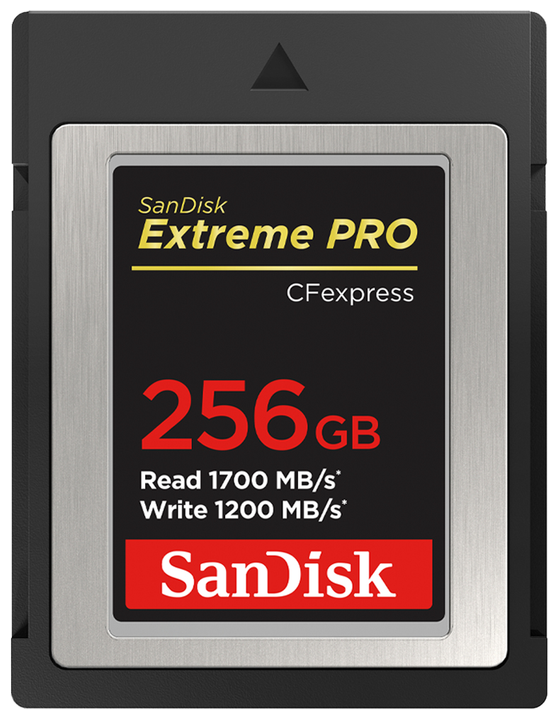 Sandisk Extreme Pro Kompaktflash Speicherkarte 256 GB für 661,00 Euro